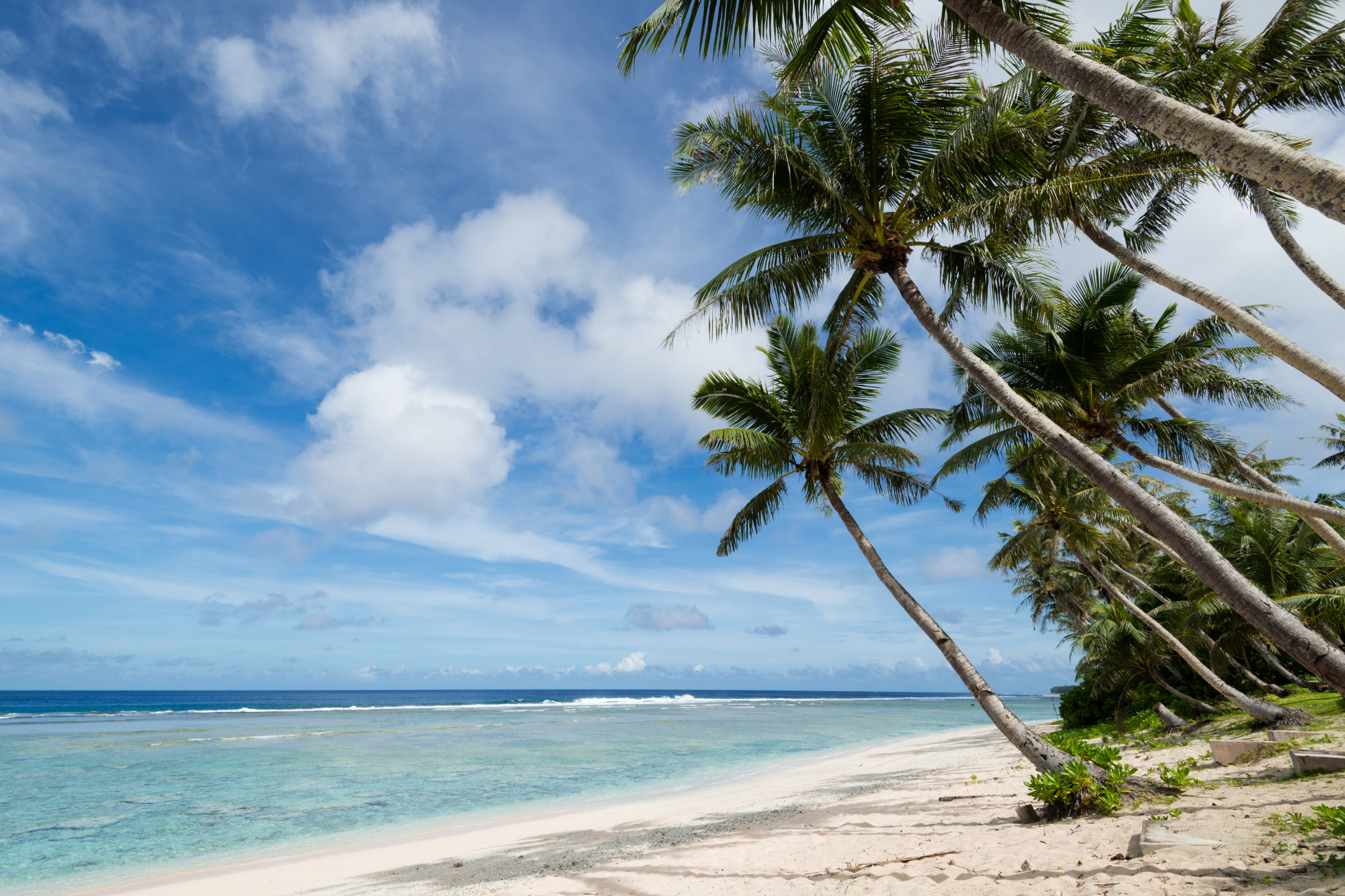 03 guam.webp